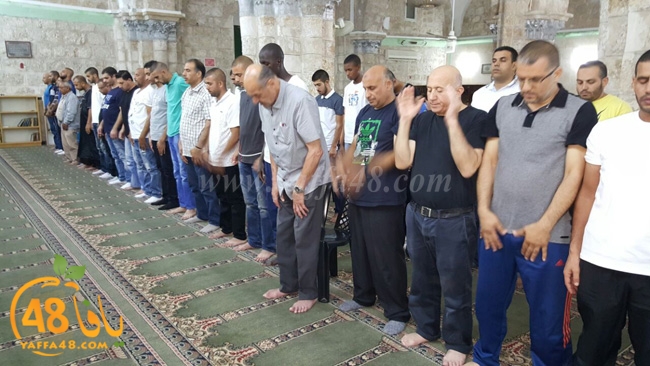 kaber ramla qder (5).jpg